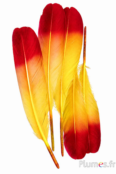 Schwan Seide - 25-30 cm - gelb-rot